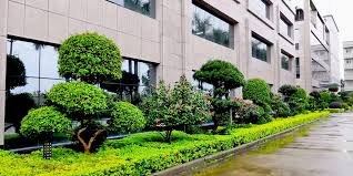 宿迁市宝旺园林绿化工程有限公司